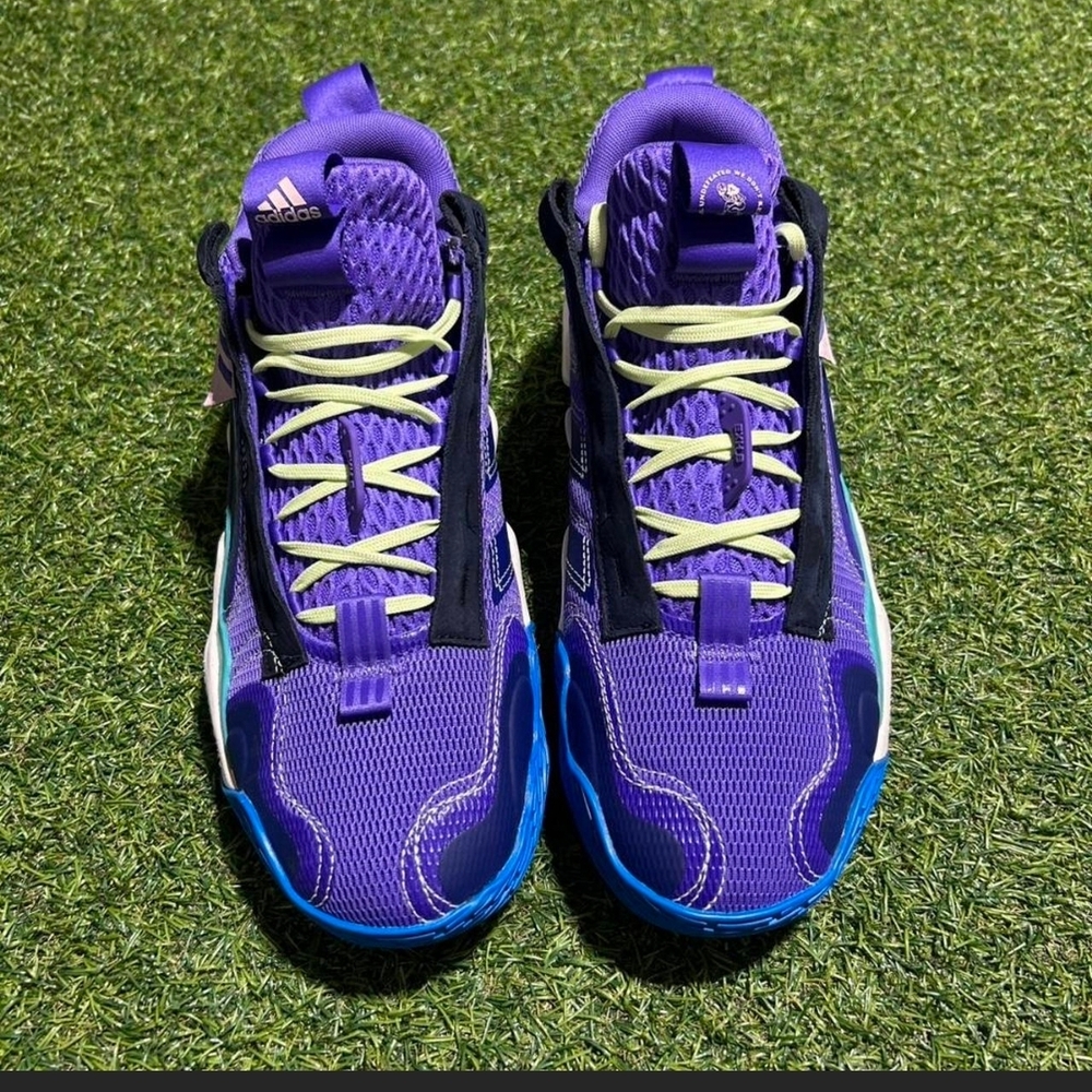 Adidas Vibrant Purple and Blue Sneakers
